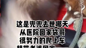 4c9073645b4226103cb5eaff1ac977ed3cc3b7ef.png@280w_158h_1c_100q.jpg