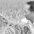袁隆平:我有两个梦想，第一个禾下乘凉梦，第二个杂交水稻覆盖全球梦。#袁老逝世#