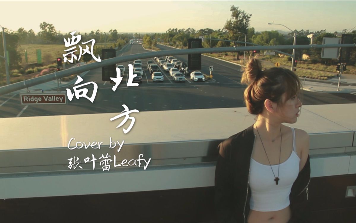 黄明志Namewee feat. 王力宏Leehom Wang 【