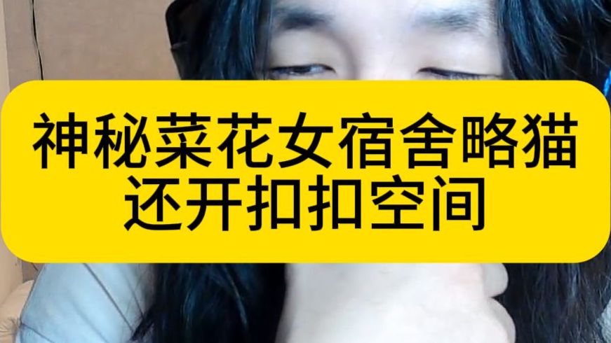 类人群星闪耀164 神秘菜花女宿舍略猫还开扣扣空间