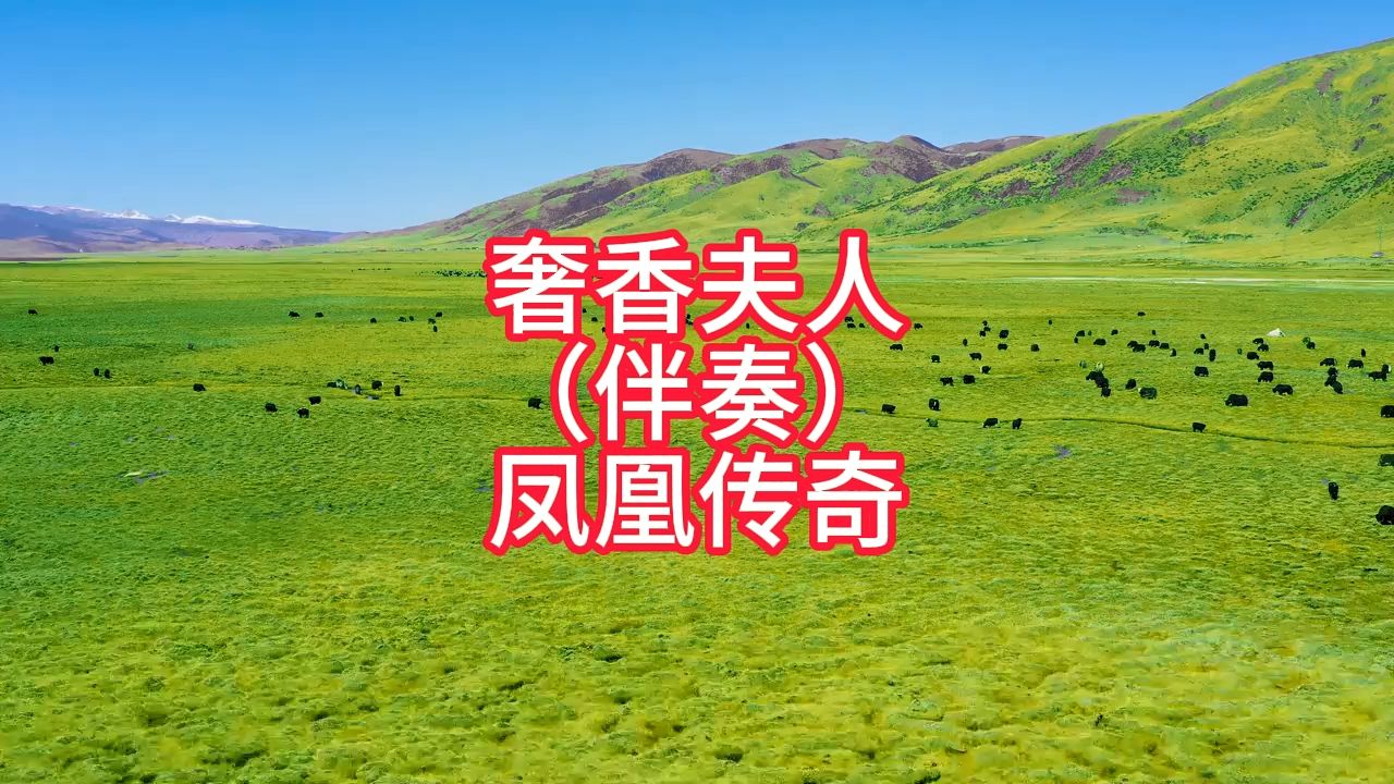 奢香夫人（伴奏）凤凰传奇