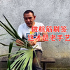 割棕树皮做棕筋刷签，这才是真的手艺活，可惜很多人不稀罕用