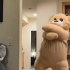小熊跳舞原版视频