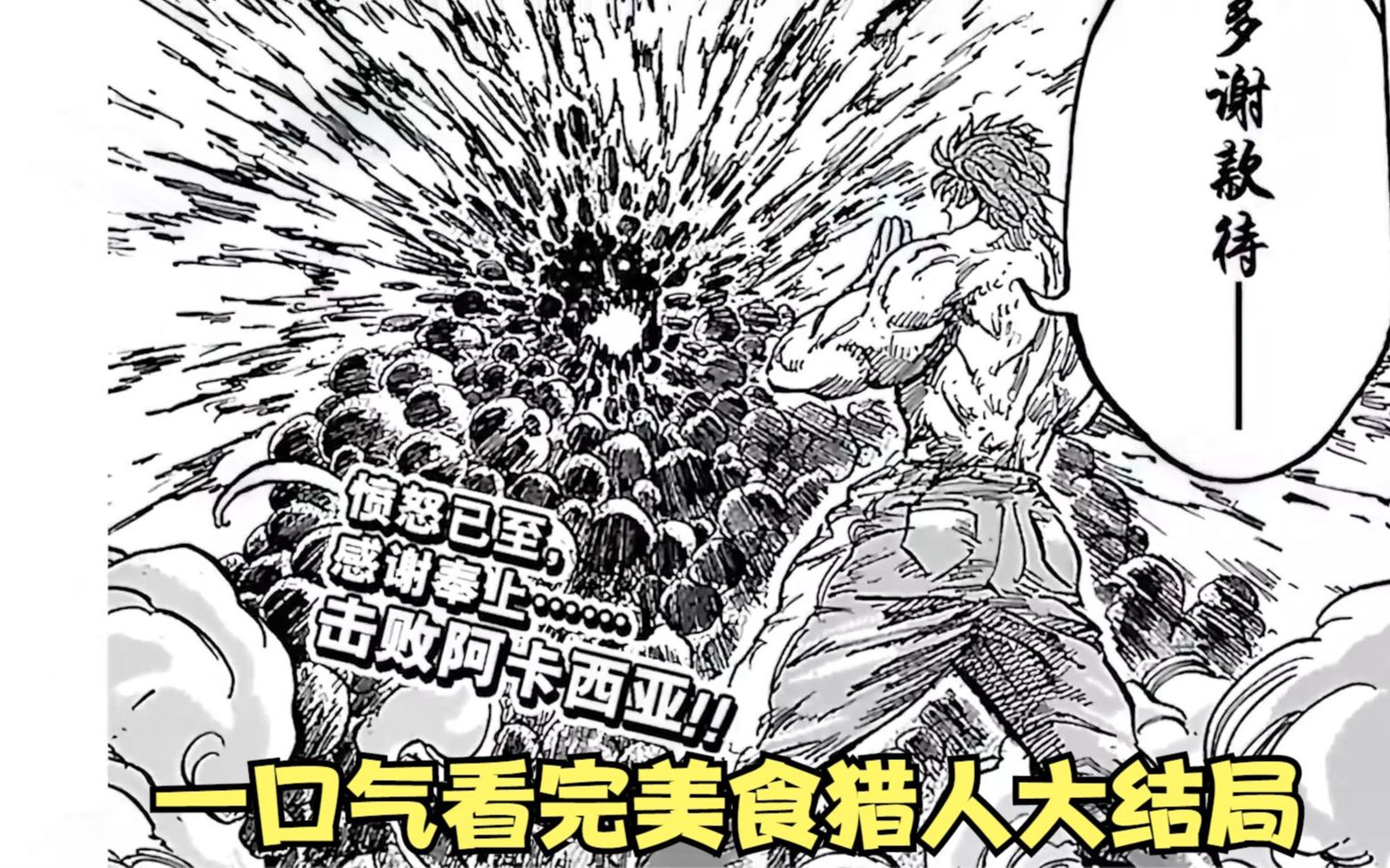 流量预警一口气看完美食猎人美食界篇大结局