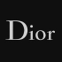 《Lady Dior》系列