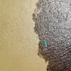 愿你如诗如画，肆意汪洋