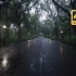 【4K】漫步在雨中纽约中央公园