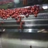 红枣清洗烘干生产线视频