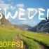 【4K】瑞典-斯堪的纳维亚半岛的北欧国家（60FPS）