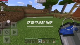 短剧中的甜蜜瞬间，平精英情侣的浪漫之旅，平精英之甜蜜瞬间，情侣的浪漫之旅