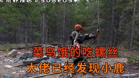 4d75af7c6657b98adebe68557439dbd0e16a45ce.jpg@280w_158h_1c_100q.jpg