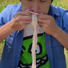 帮我取个菜名呗！大肠配泥鳅居然还挺好吃！ #美食卷王挑战赛