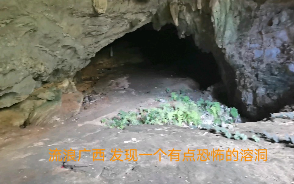 广西的山洞不要随便进，否则有惊喜！流浪青年又在无人深山里度过了一天。