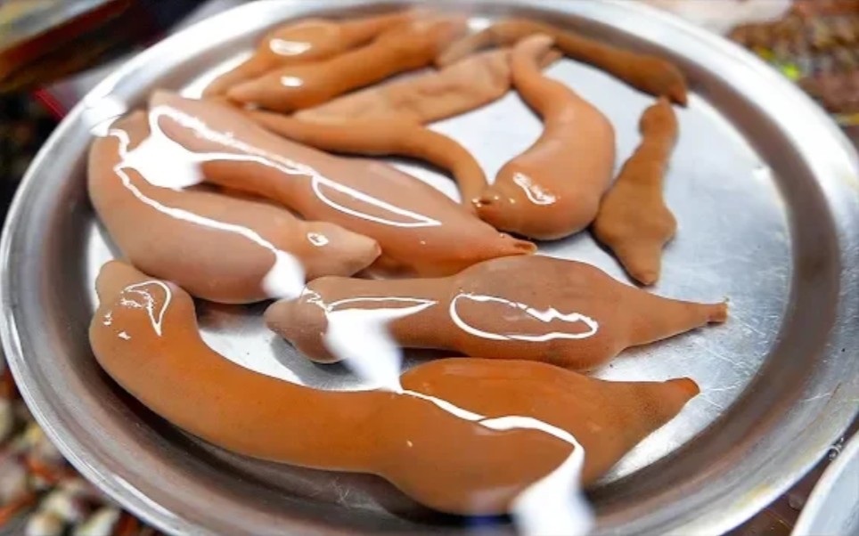 Sea squirt korean food