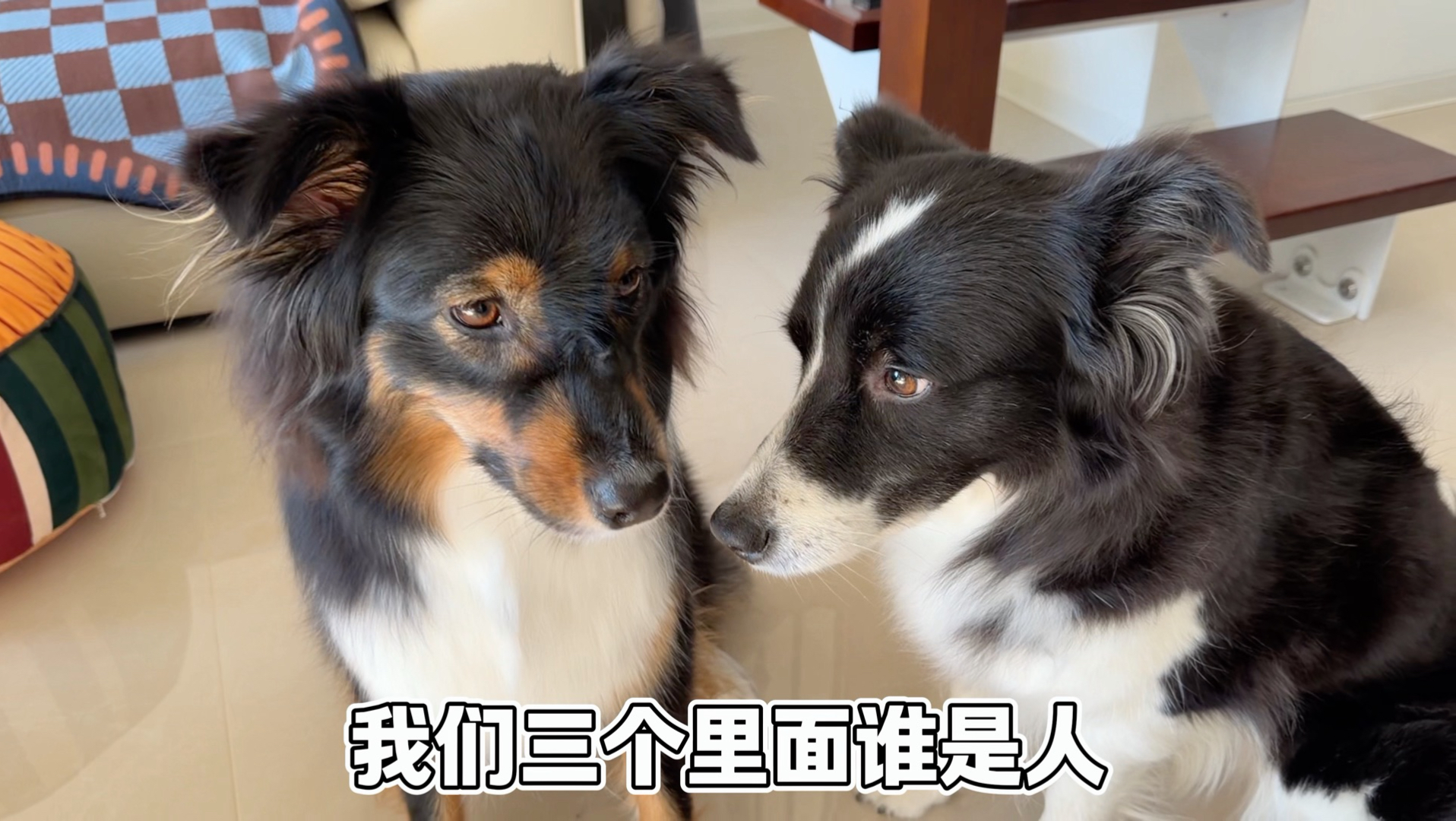 严肃讨论