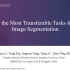 Finding the Most Transferable Tasks for Brain Image Segmenta