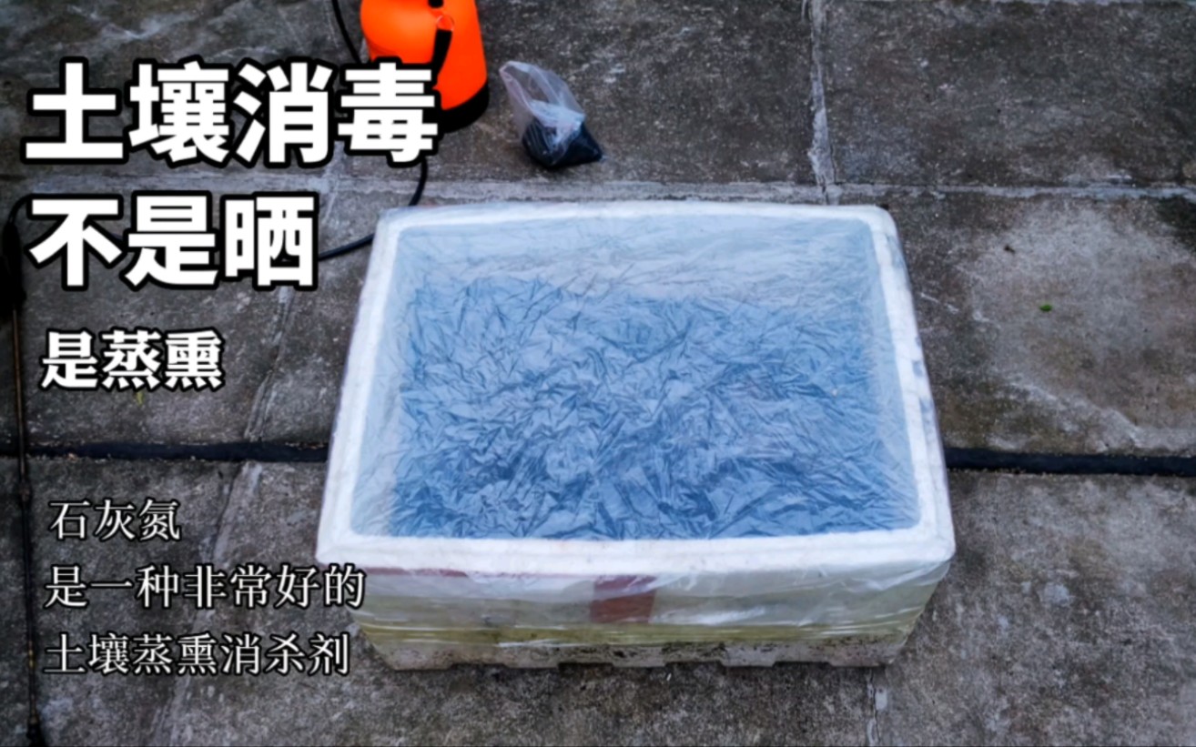 土壤消毒不要用农药了！3种环保方法，处理完马上种花