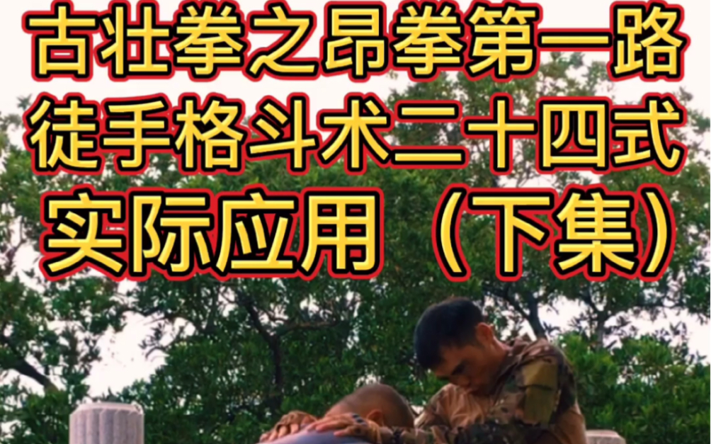 古壮拳之昂拳第一路实际应用下集