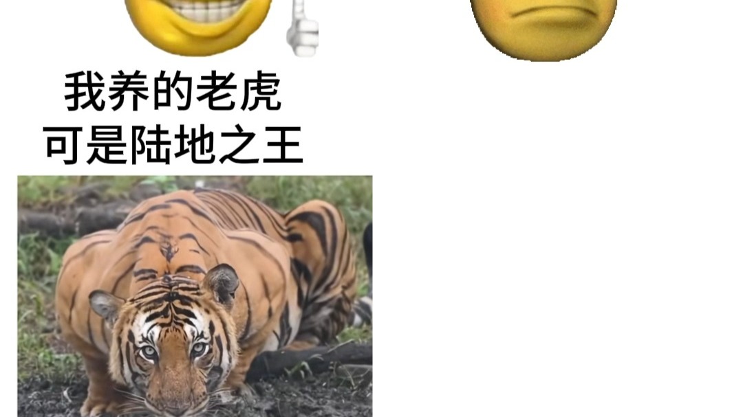 当你以为的陆地之王