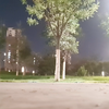 鸡你太美，你美鸡鸡