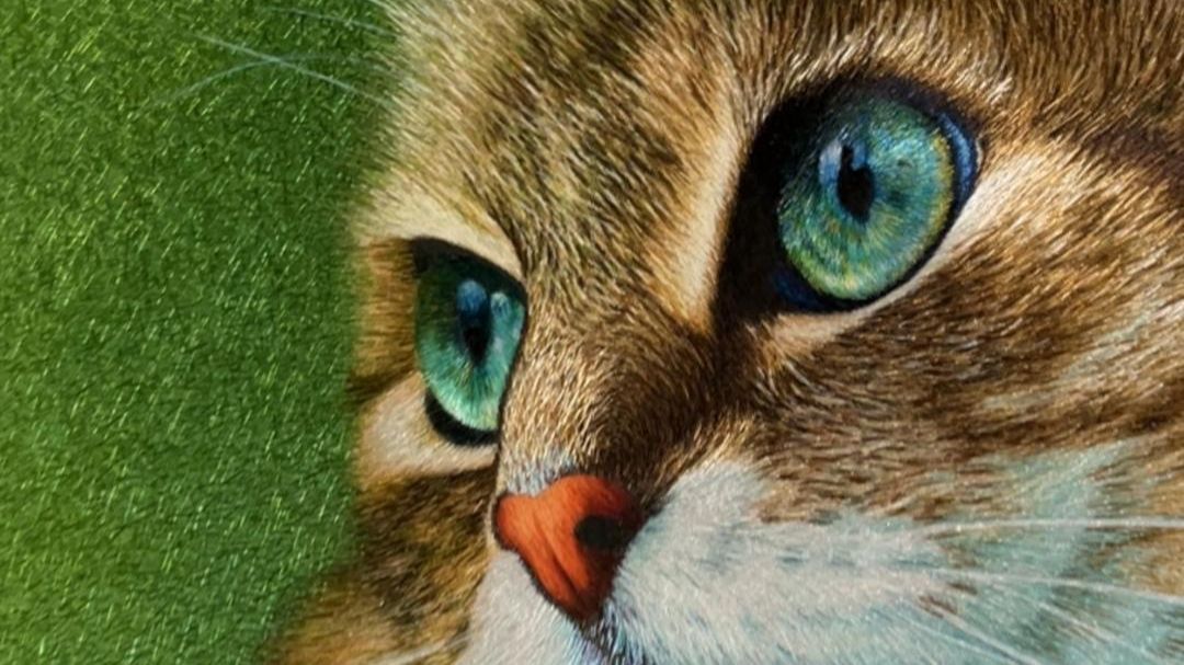 你好，可以花20秒看看我绣的小猫吗？谢谢你