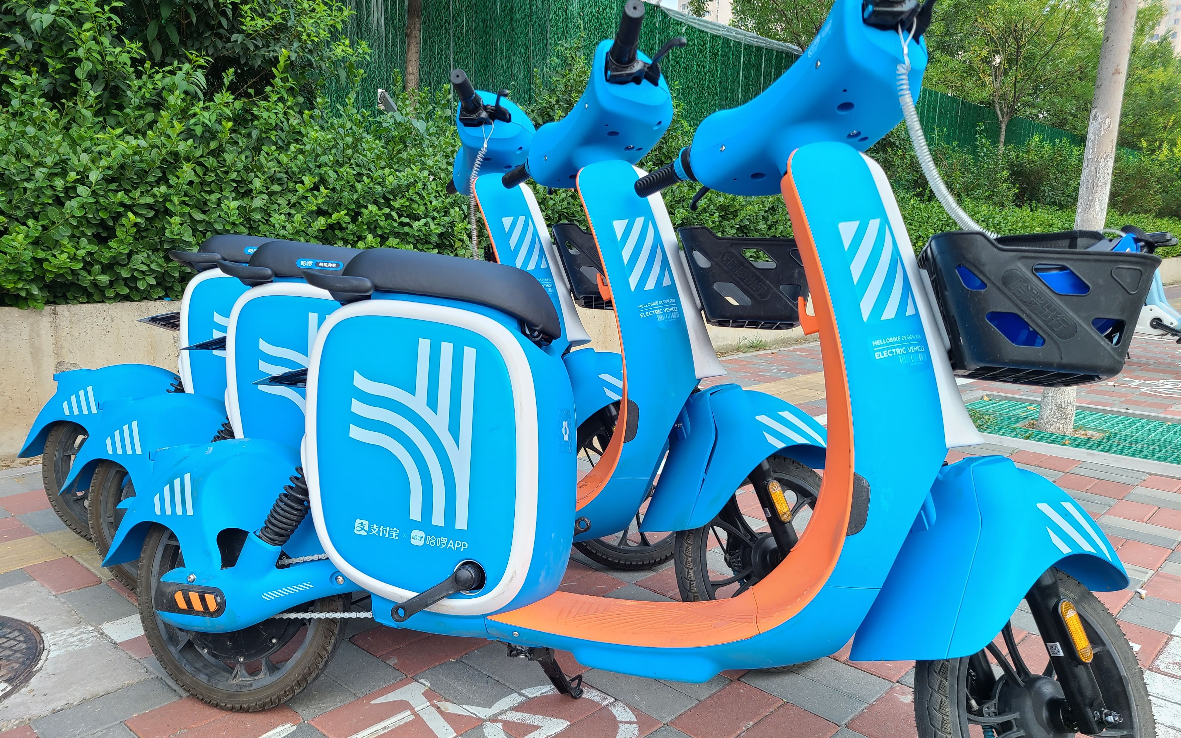 北京共享单车投放合规率已达98%_手机新浪网