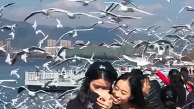 4e0a61068db48eda85c63220401e31504c672604.jpg@280w_158h_1c_100q.jpg
