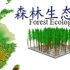 【公开课】森林生态学（国家级精品课程）