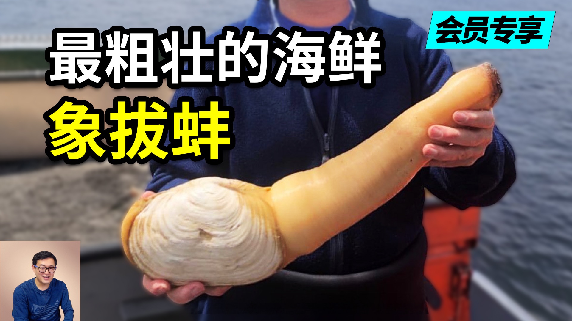 世界上最“粗壮”的海鲜，轻松活到140岁！从无人问津到卖出天价，只因“以形补形”？象拔蚌的疯狂真相……