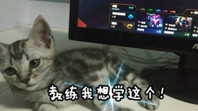 4e1cb45ab6792a195c356bfcc55b399bb0827e12.jpg@280w_158h_1c_100q.jpg