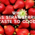 【M&S】 玛莎百货广告 为啥我们的草莓介么好吃呢？
