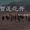 雪莲花开——对口援疆纪实（5集全