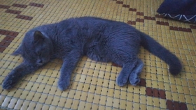 什么办法不做梦 4e3dd218bd112b6f731ceedd268bd88908d91940.jpg@280w_158h_1c_100q.jpg