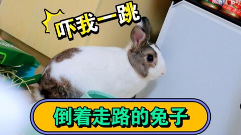 4e4093ca7b6692ee014c8b5c06859297334ceec0.jpg@480w_270h_1c