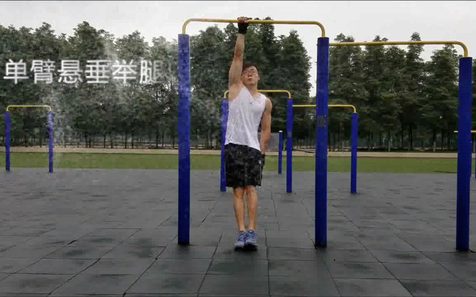 单臂悬垂v举腿