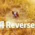 溯（Reverse.feat）【唯美治愈版】，超级好听的治愈改编