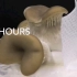 蘑菇的一生，生命的律动，记录蘑菇生长全过程。