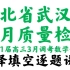 湖北省武汉市2021届高三三月质量检测数学试卷