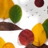 秋天的景色 树叶贴画 多彩的秋天用几片落叶就能做出来 快试试吧