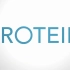 【生物动画】蛋白质的组成、结构与功能