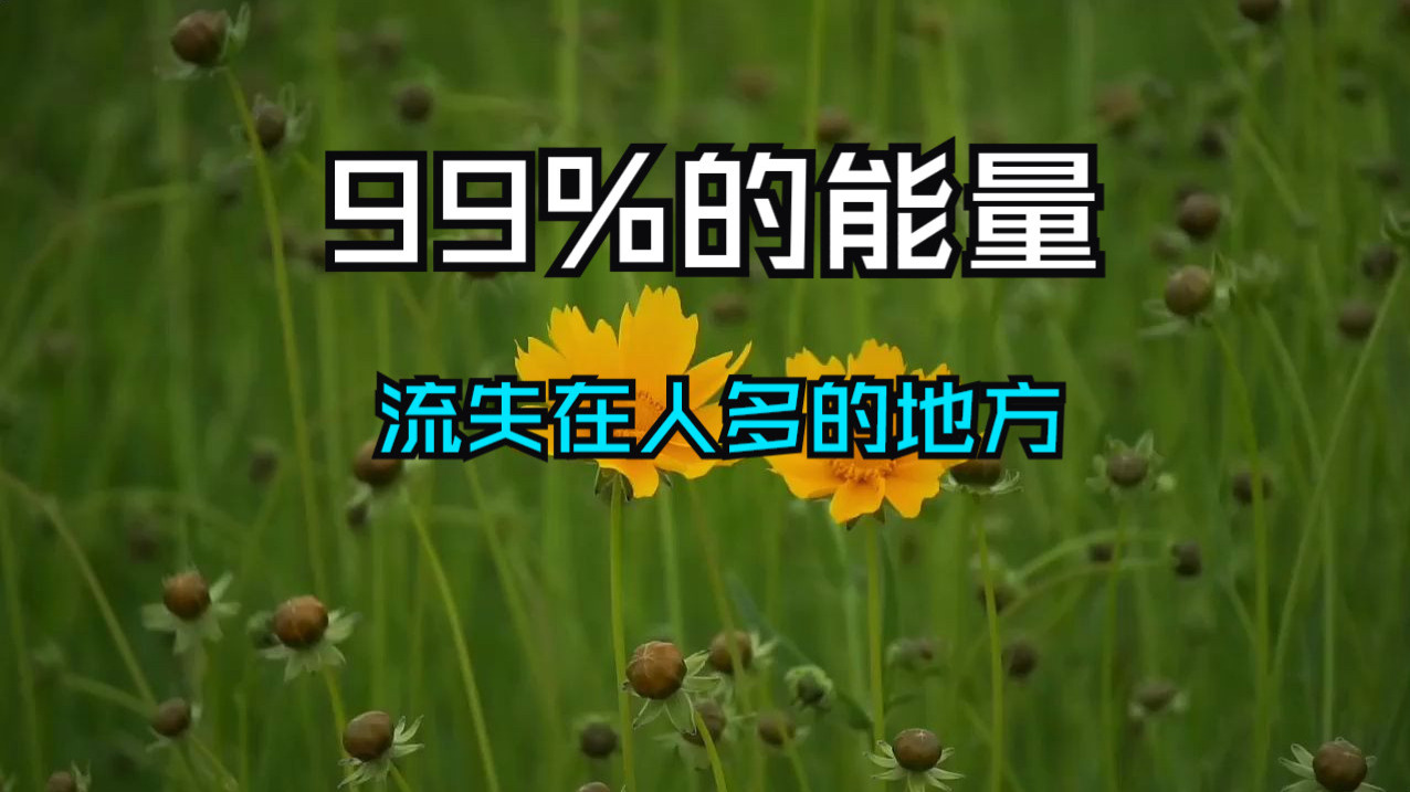 能量低的人正逐渐被“淘汰”，尤其是在人多的地方，能量流失的速度快得惊人——99%的能量，可能就在你不经意间被消耗殆尽