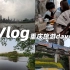 【VLOG】南滨路·李子坝·交通茶馆·彩云湖国家湿地公园|重庆旅游day4