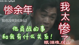 石楠小札简谱_红叶石楠(3)
