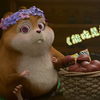 小学生看太优秀，我们大学生看刚好，有这么一群可爱的土坡鼠很难不爱啊