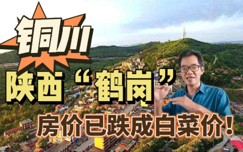 陕西也有个“鹤岗”，一两万买一套房，三万不到能买到全新装修拎包入住的！｜中国躺平圣地 房价如葱 白菜价 铜川 悠闲慢生活