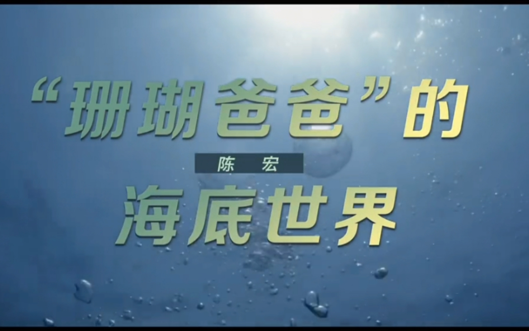 《这十年》微纪录片 第22集"珊瑚爸爸"的海底世界》