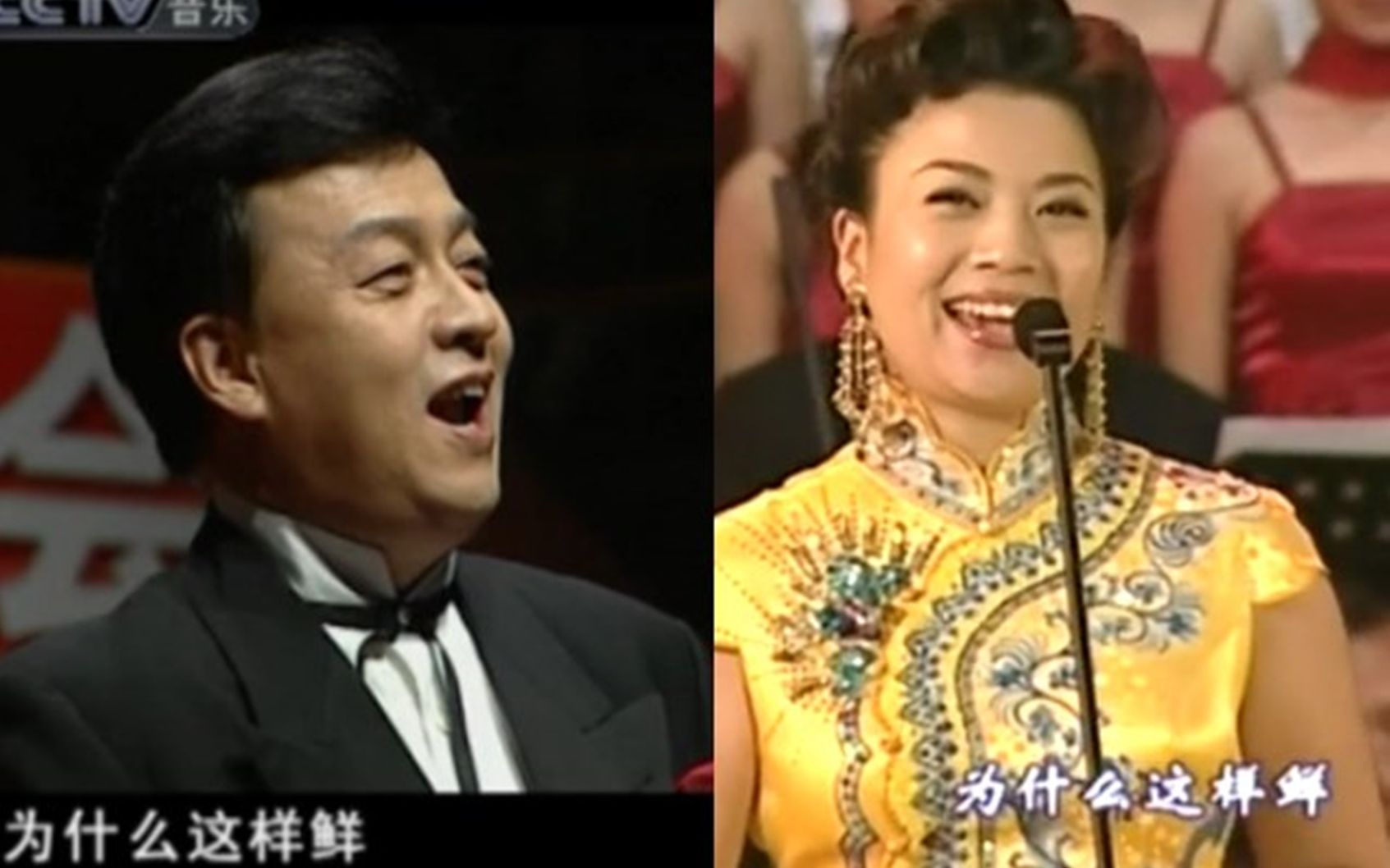 【张也】【吕继宏】熊猫的同款歌(更新黄杨扁担)
