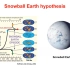 20221028-沈冰教授-海洋生物地球化学驱动雪球地球气候演变
