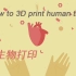 【TED/双语字幕】如何3D打印人体组织？3D生物打印在医学界发展到什么程度了呢？ | How to 3D print 