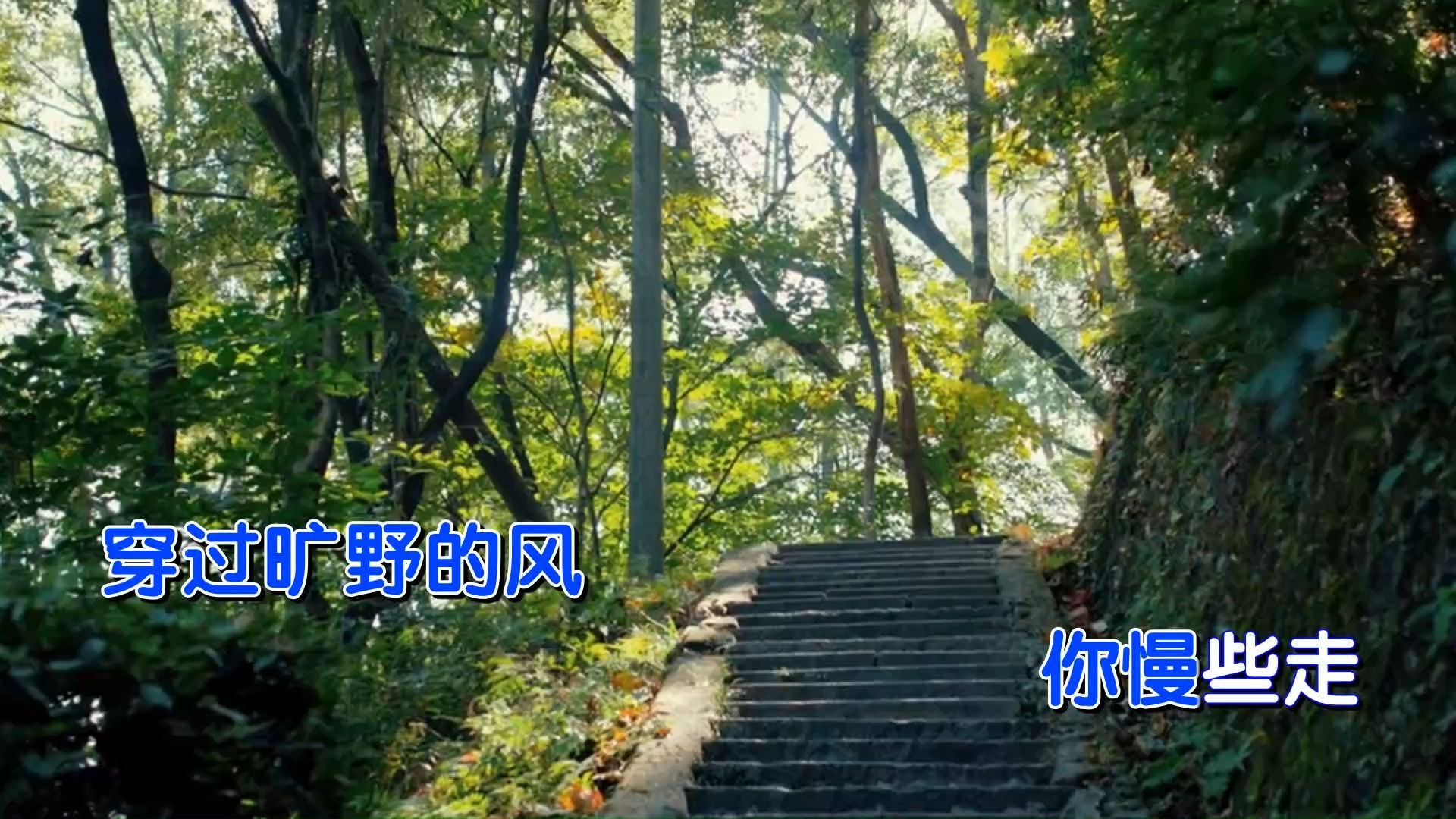 乌兰巴托的夜 伴奏